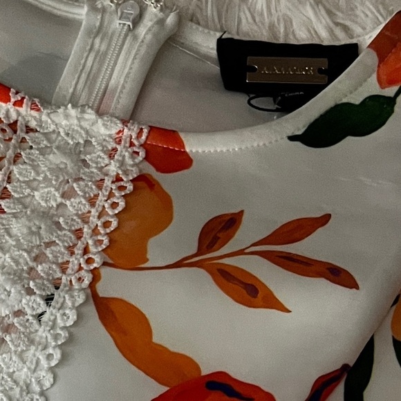 New Alexia Admor Floral Lace Trim Fit & Flare Mini Dress 10 Peach White Fern - Picture 2 of 14